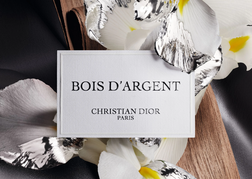 Dior Bois D’argent - Eau de parfum ( 100 ml )
