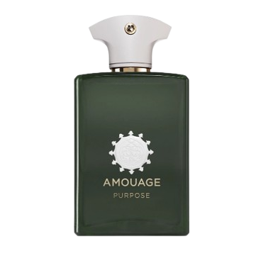 Amouage Perpose - Eau de parfum (100 ml)