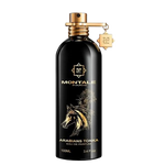 Montale Paris Arabian Tonka - Eau de Parfum ( 100 ml )