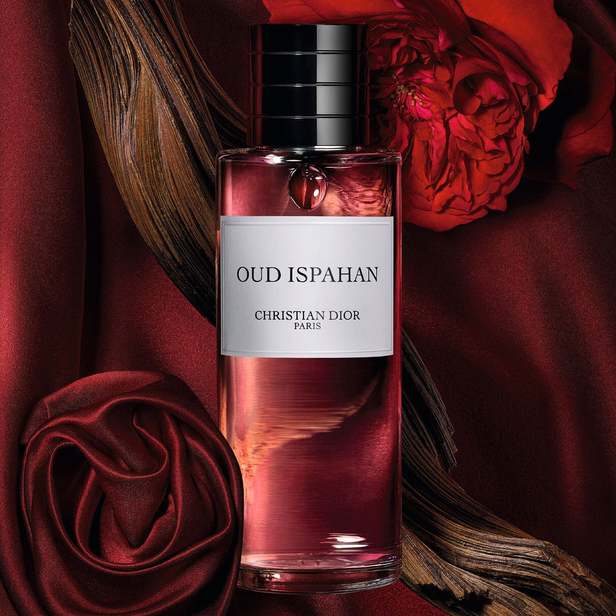 Dior Oud Ispahan - Eau de parfum ( 100 ml )