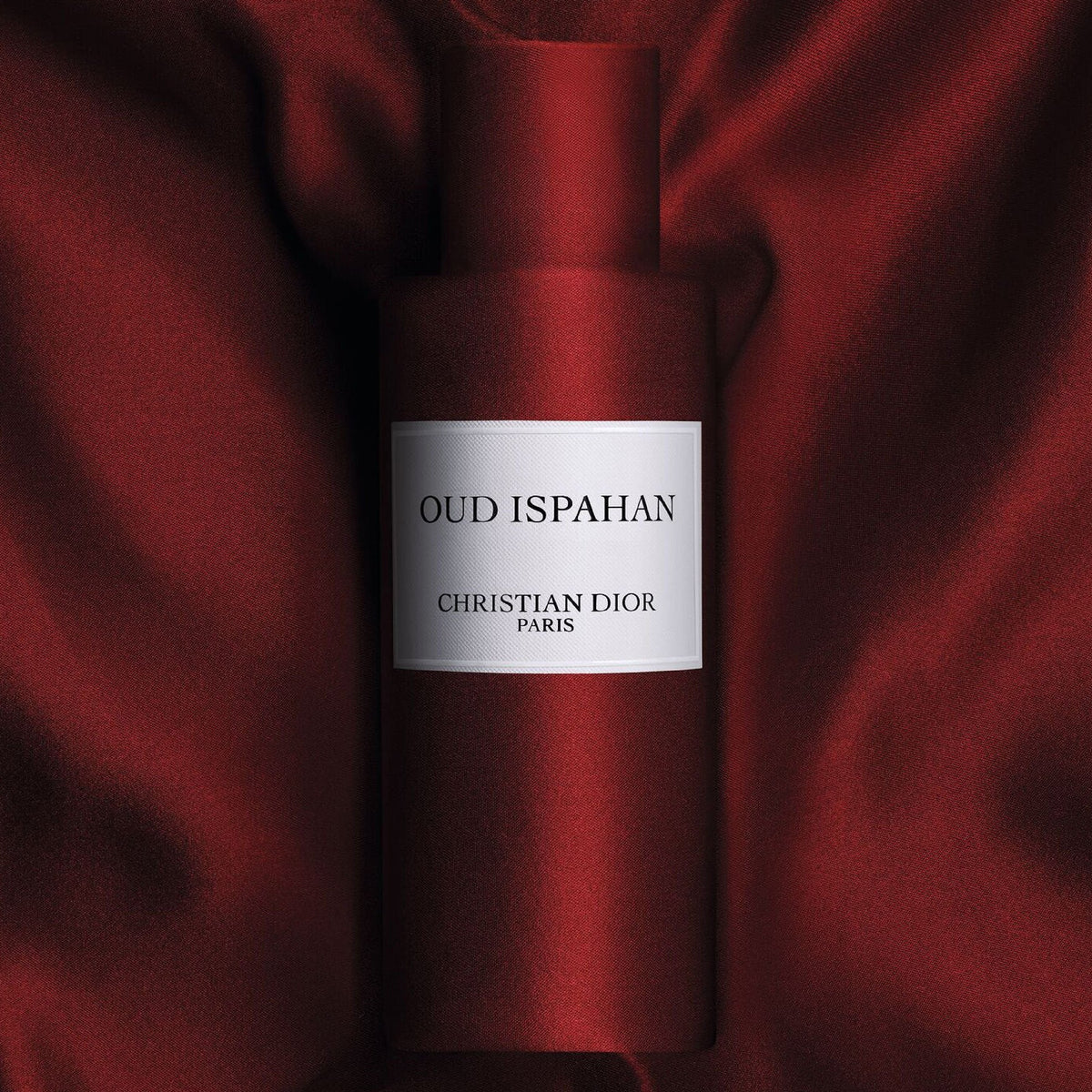 Dior Oud Ispahan - Eau de parfum ( 100 ml )
